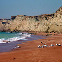 تور قشم ( پاییز ۹۷ )