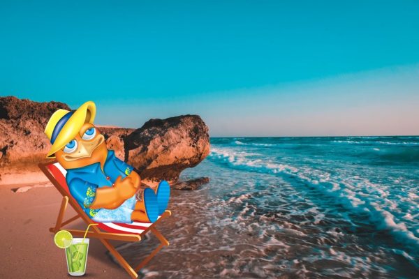 تور کیش پیشنهادی گردشگران