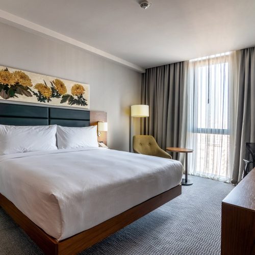 hilton-garden-inn-tbilisi