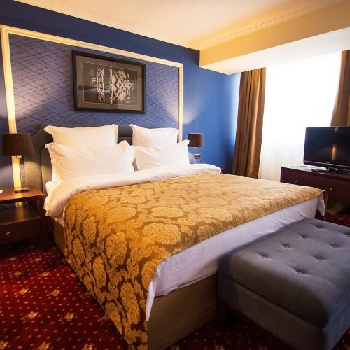 ANI PLAZA HOTEL