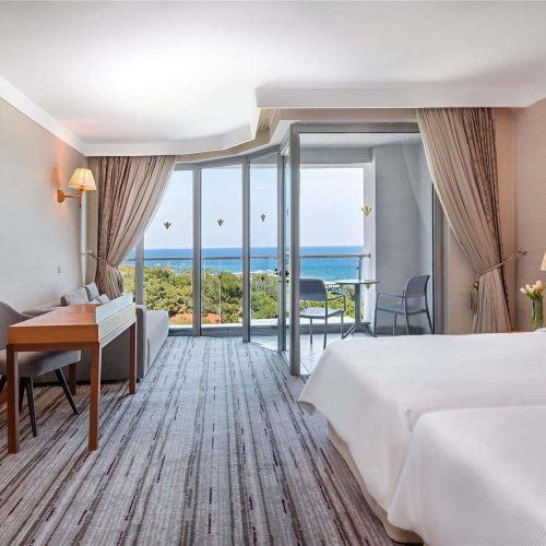 guest-room