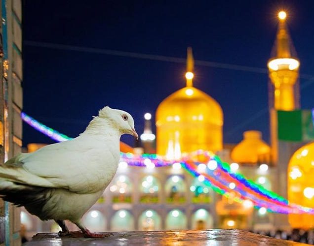 تور مشهد از شیراز