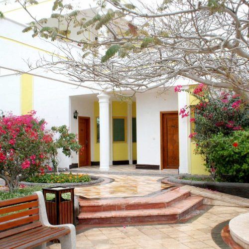 فلامینگو کیش